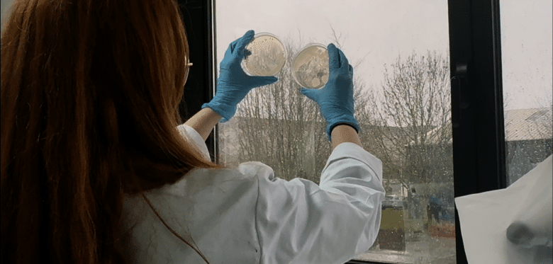 Capture d'écran 2026-04-14 114547