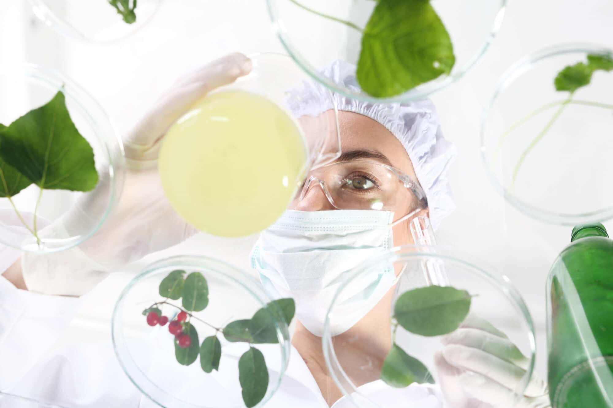 Biotechnologist examine the plant samples in the laboratory